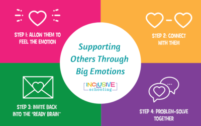 What To Do When Big Students (and Even Teachers) Have Big Emotions