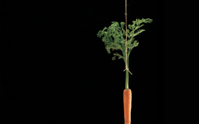 Moving Beyond Carrots and Sticks for Sustainable System Change