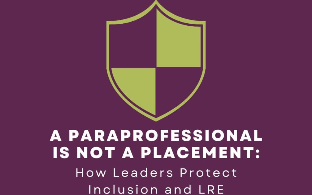 A Paraprofessional Is Not a Placement