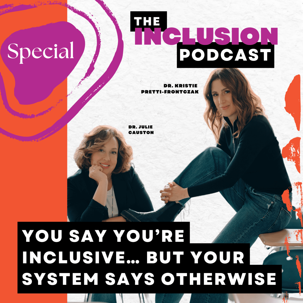 You're Included Inclusive Education Systems: When Practice Doesn’t Match Belief